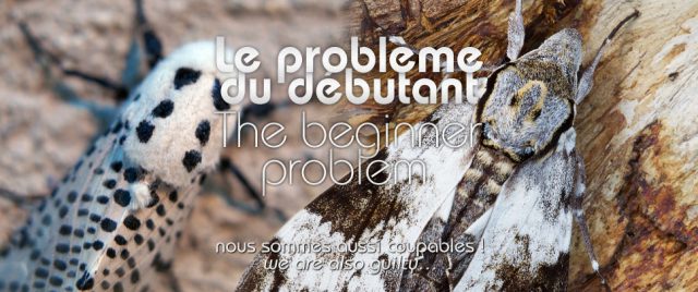 Le probl&egrave;me du d&eacute;butant&nbsp;: nous sommes aussi coupables&hellip;