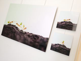 Exposition &laquo;&nbsp;Petits et Petits, les insectes&nbsp;&raquo; M&eacute;diath&egrave;que Jacques Duhamel 