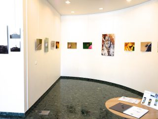 Exposition &laquo;&nbsp;Petits et Petits, les insectes&nbsp;&raquo; M&eacute;diath&egrave;que Jacques Duhamel 