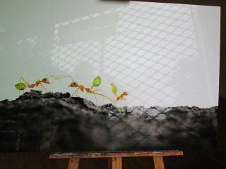 Exposition « Petits et Petits, les insectes » Médiathèque de Rieumesl Exposition « Petits et Petits, les insectes » Médiathèque de Rieumesl