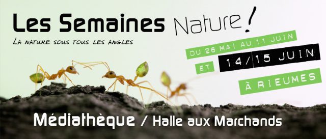 Mon exposition descend dans le Sud !