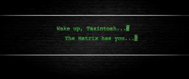 La Matrice dans WordPress