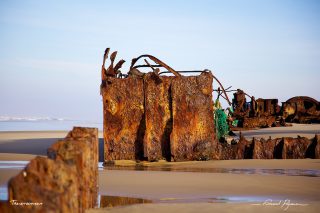 L'&eacute;pave du Virgo 