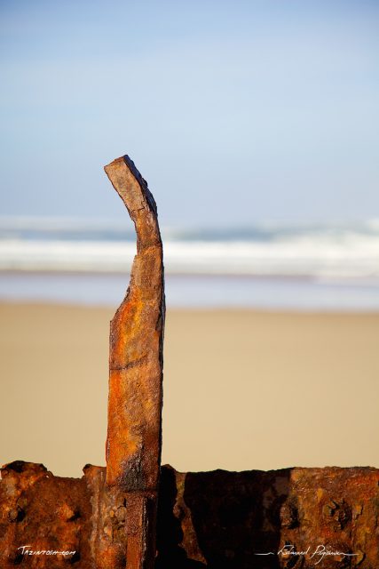 L'&eacute;pave du Virgo 