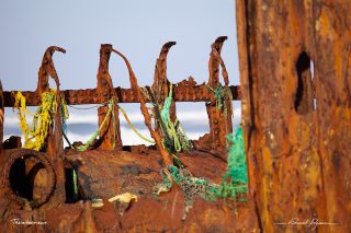 L'&eacute;pave du Virgo 