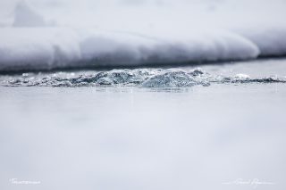 Plong&eacute;e sous glace &agrave; Tignes 
