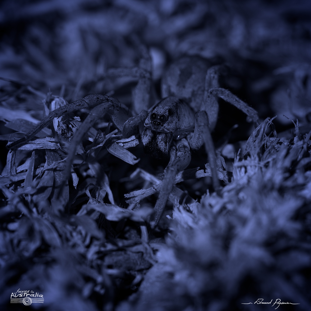 Traitement &laquo;&nbsp;de nuit&nbsp;&raquo;