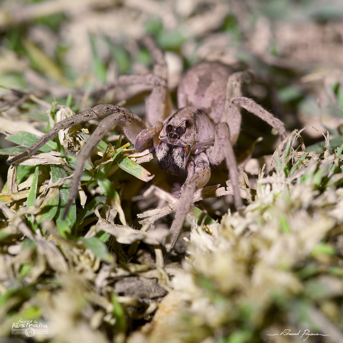 Photo trait&eacute;e