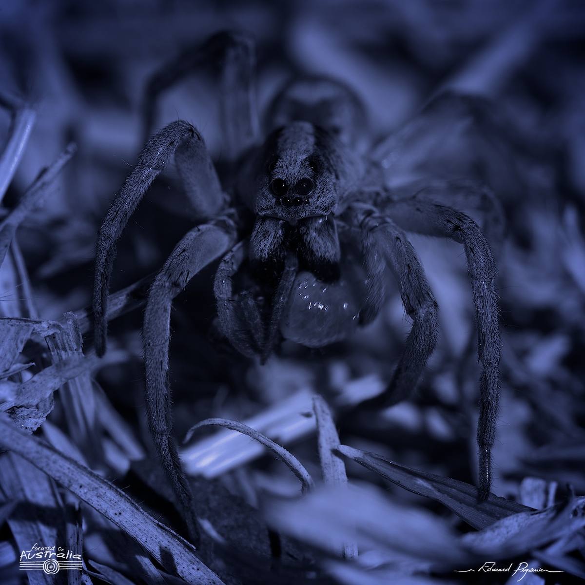 Traitement &laquo;&nbsp;de nuit&nbsp;&raquo;