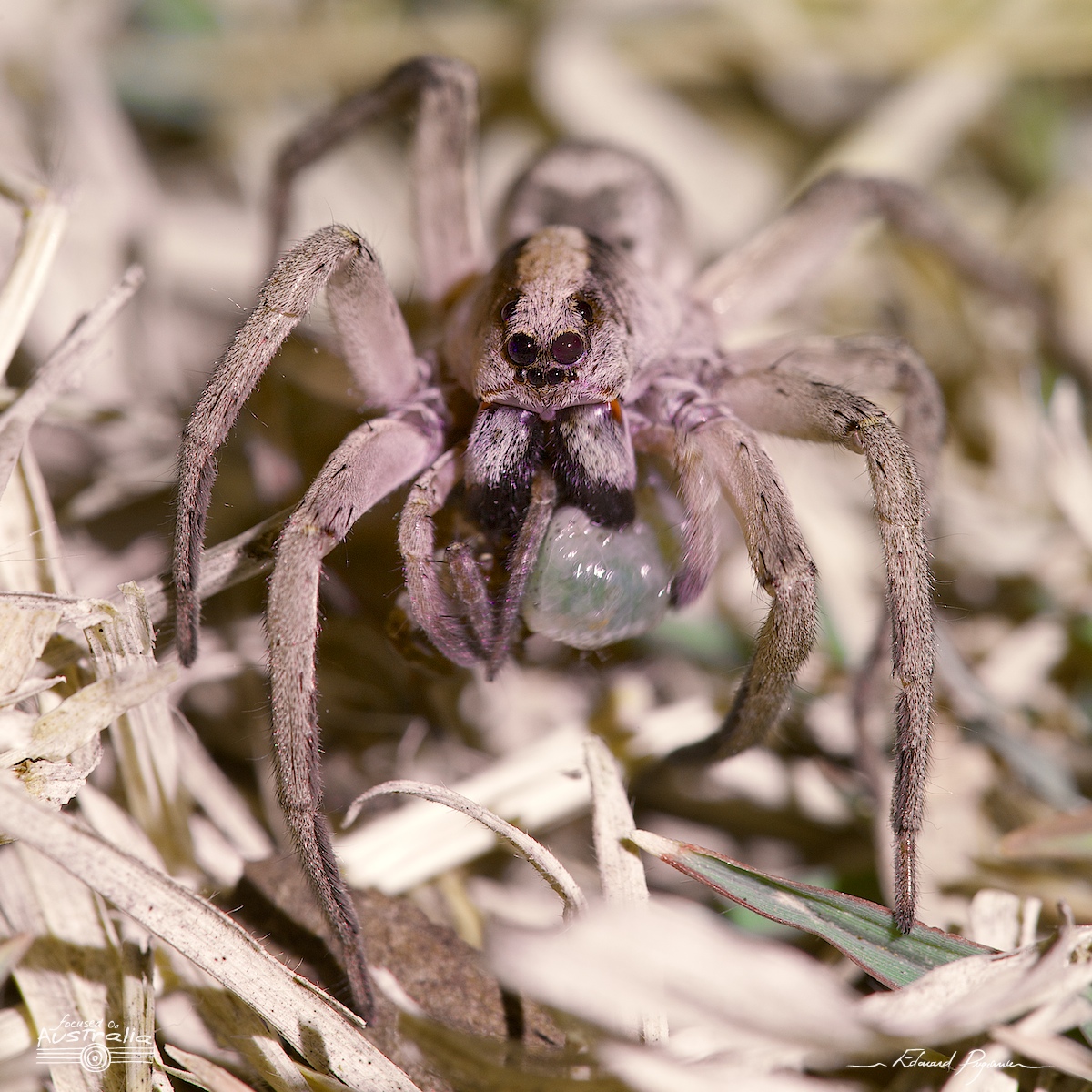 Photo trait&eacute;e