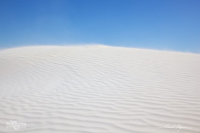 Les dunes de Lancelin 