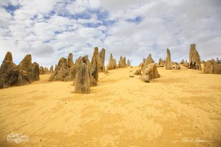 D&eacute;sert des Pinacles 