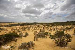 D&eacute;sert des Pinacles 