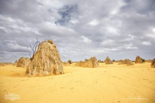 D&eacute;sert des Pinacles 