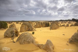 D&eacute;sert des Pinacles 