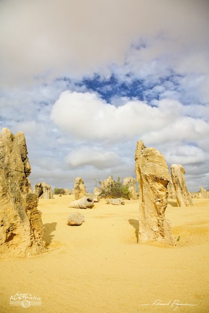 D&eacute;sert des Pinacles 