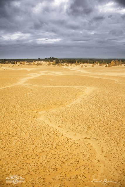 D&eacute;sert des Pinacles 