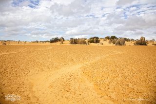 D&eacute;sert des Pinacles 