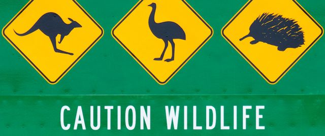 Une Histoire de Panneaux