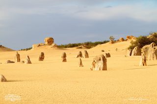 D&eacute;sert des Pinacles 