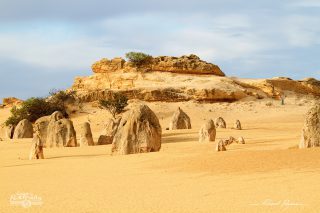 D&eacute;sert des Pinacles 