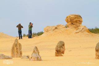 D&eacute;sert des Pinacles 