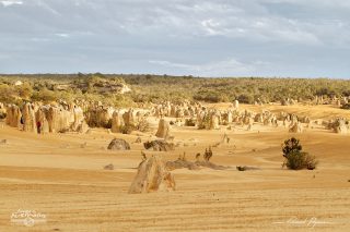 D&eacute;sert des Pinacles 