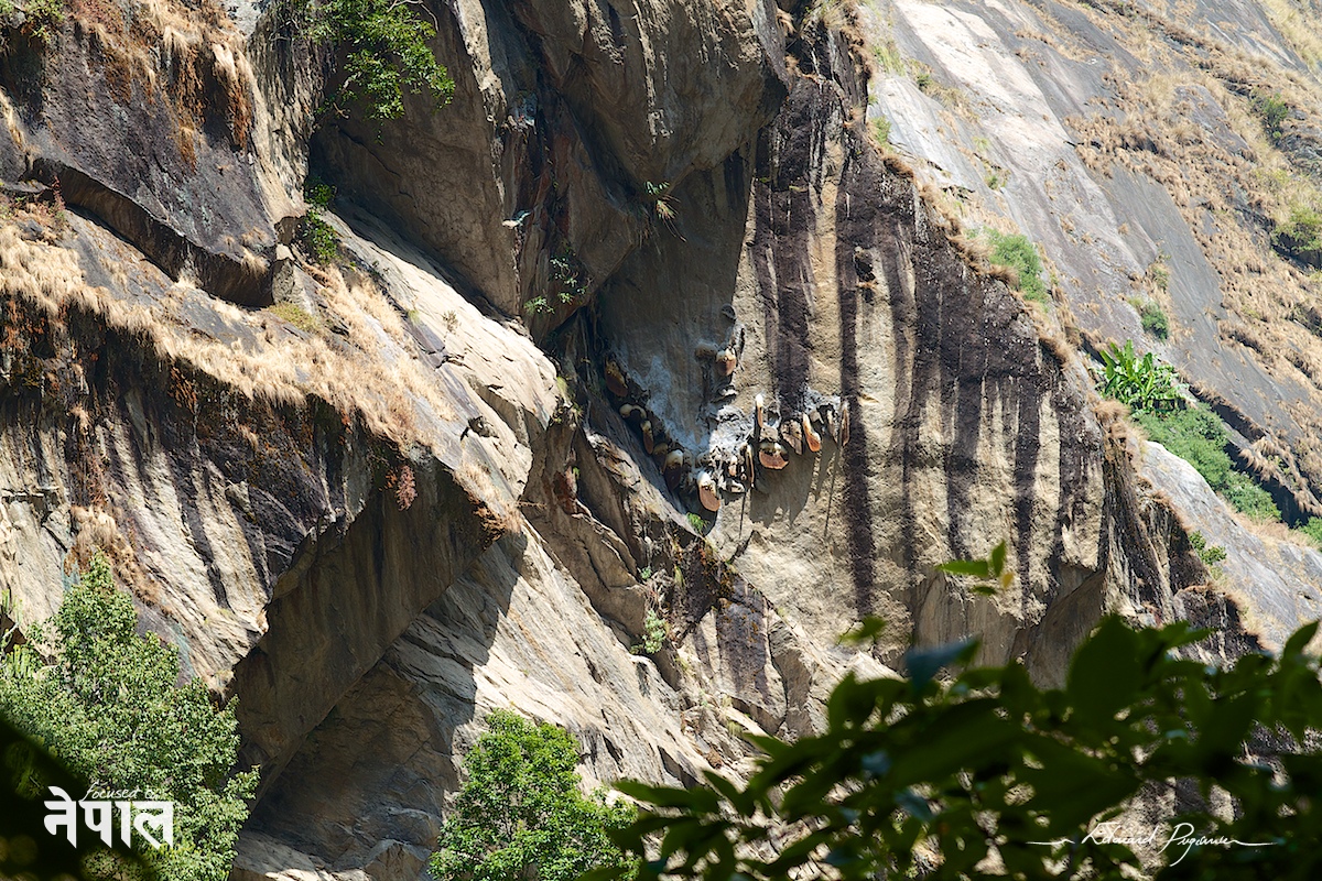 Canon EF 85mm &fnof;/1.2L II USM sur 7D