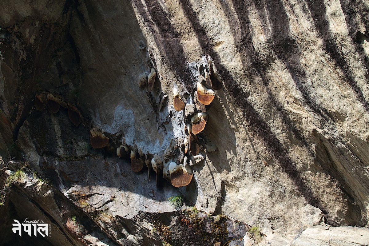 Canon EF 100-400mm &fnof;/4.5-5.6L IS USM sur 7D)