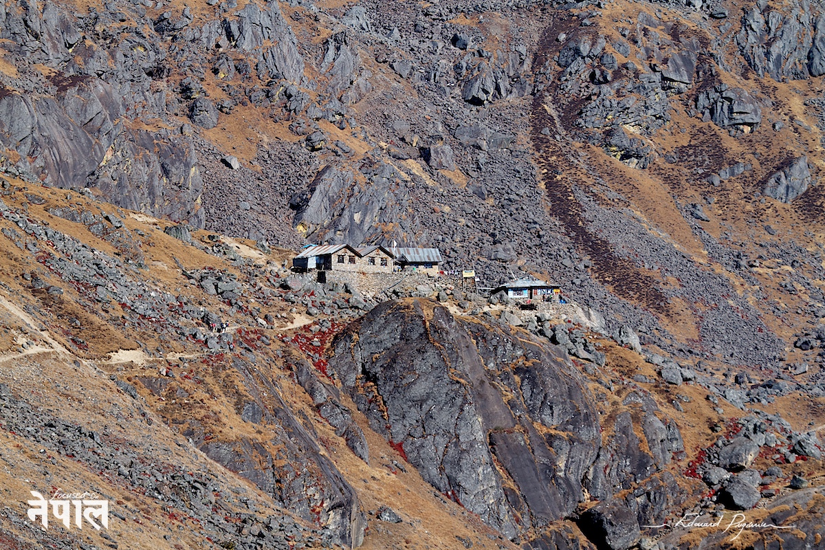 Canon EF 100-400mm &fnof;/4.5-5.6L IS USM @200&nbsp;mm (320&nbsp;mm sur 7D)