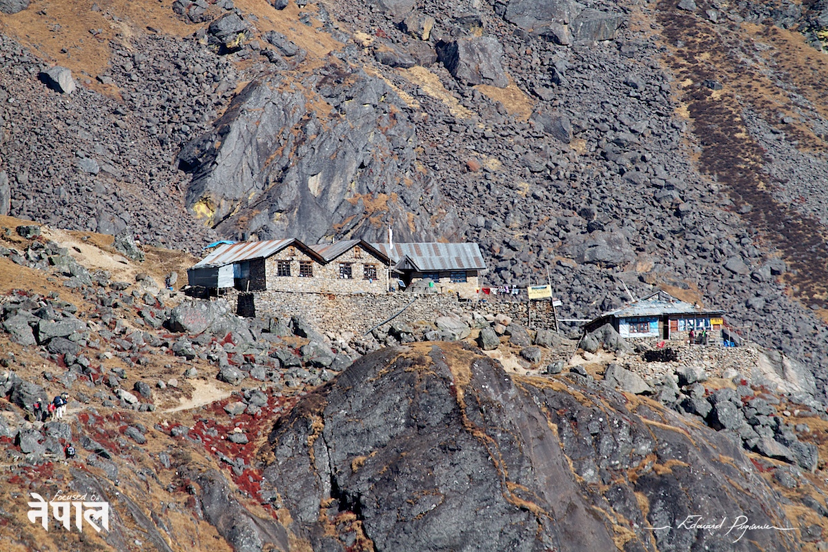 Canon EF 100-400mm &fnof;/4.5-5.6L IS USM @400&nbsp;mm (640&nbsp;mm sur 7D)