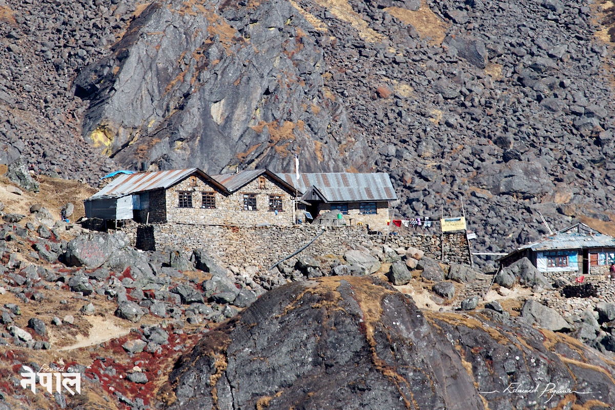 Canon EF 100-400mm &fnof;/4.5-5.6L IS USM @800&nbsp;mm &mdash; 400   2x ext. (1280&nbsp;mm sur 7D)