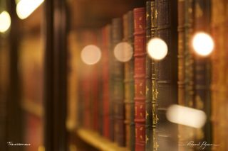 Ch&acirc;teau de Chantilly