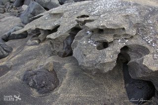 De Neige et de Sable 