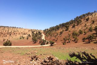 Malika, berg&egrave;re