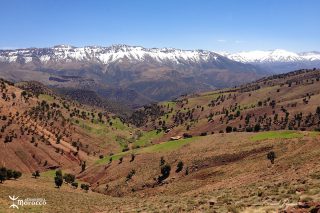 Malika, berg&egrave;re