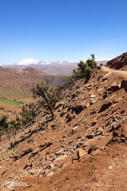 Malika, berg&egrave;re