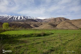 Environs de Timmit Environs de Timmit