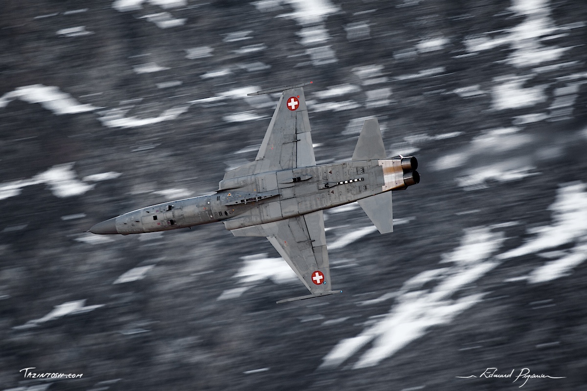 Northrop F-5E Tiger II