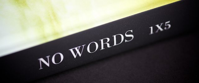 Publication&nbsp;: &laquo;&nbsp;No Words 1X5&nbsp;&raquo; de 1x.com