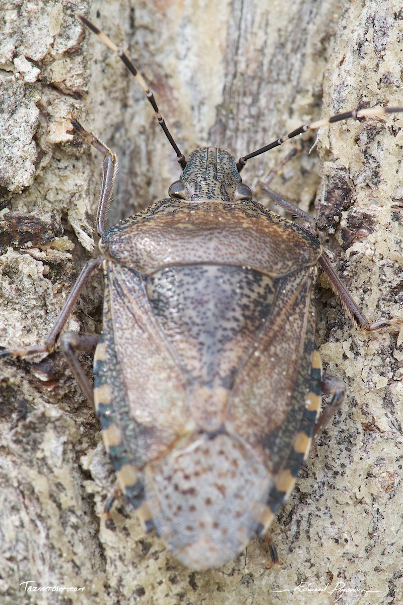 Mise au point&nbsp;: t&ecirc;te