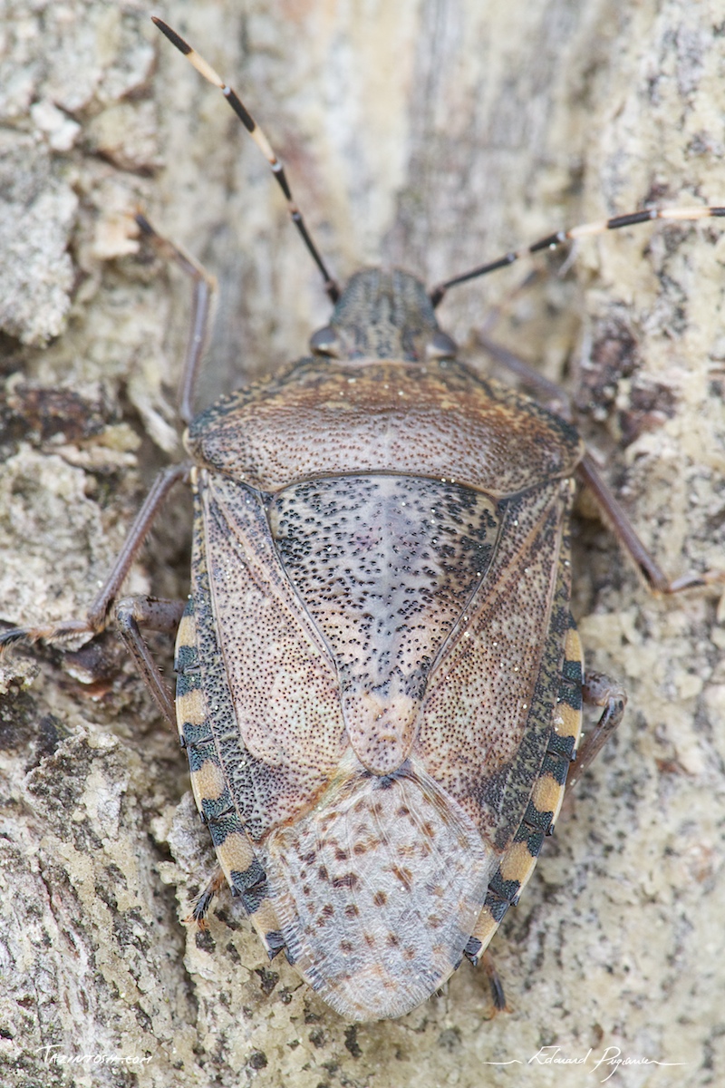 Mise au point&nbsp;: dos